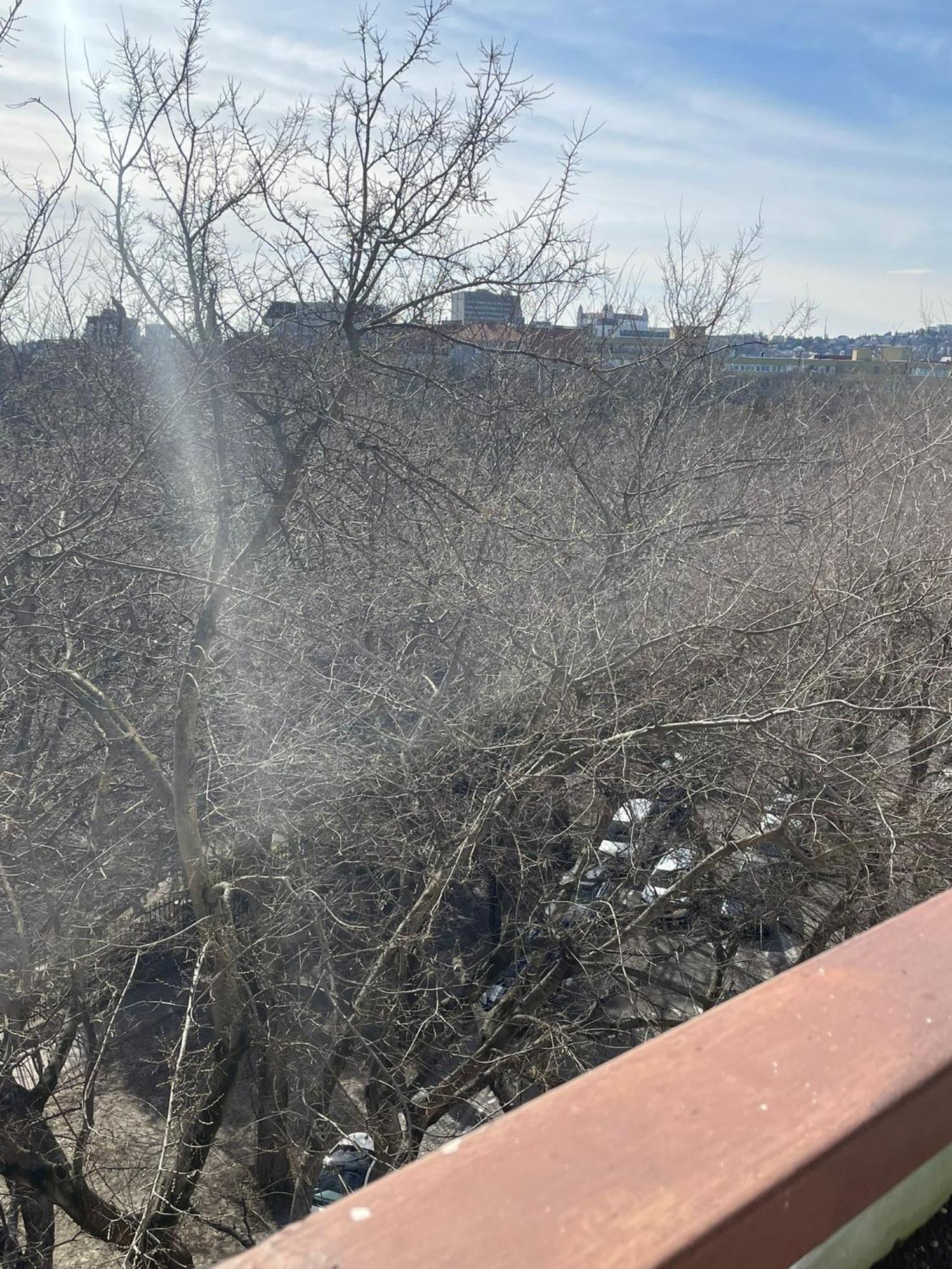 Park View City Center Location Apartment With Balcony Bratislava Eksteriør bilde